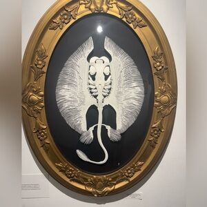 Meet your Posher, Amira